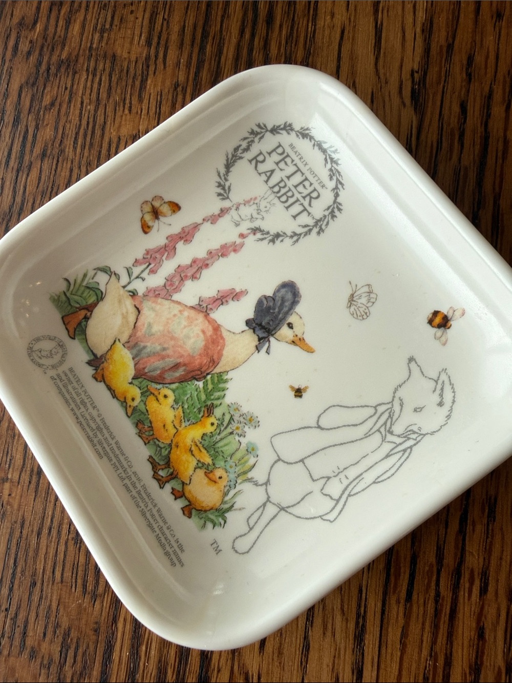 Beatrix Potter Peter Rabbit Mini Melamine Accessory Organizing Tray - Picture 3 of 6